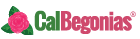 CalBegonias.com